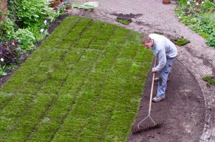 Nieuwe grasmatten met een afgerond lijnenspel