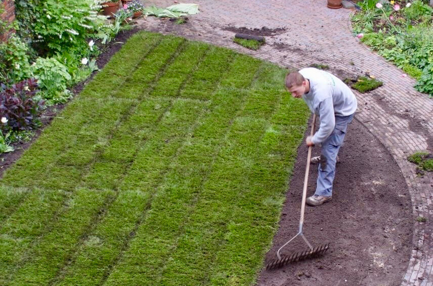 Nieuwe grasmatten met een afgerond lijnenspel