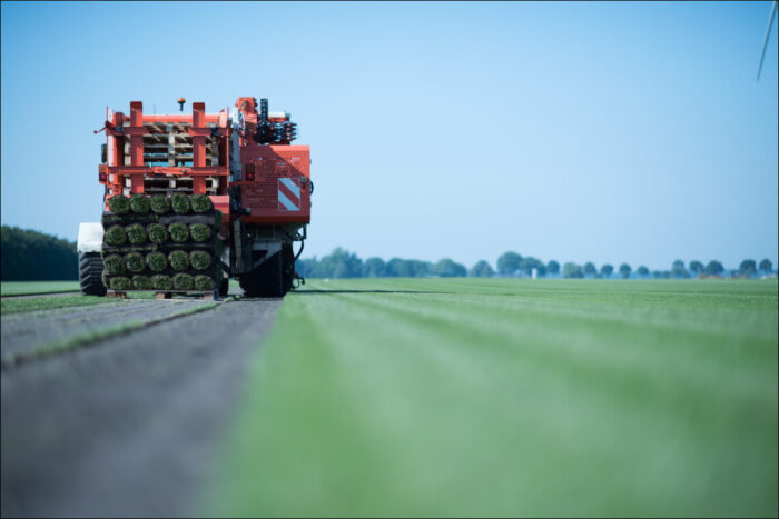 Vers gestoken graszoden