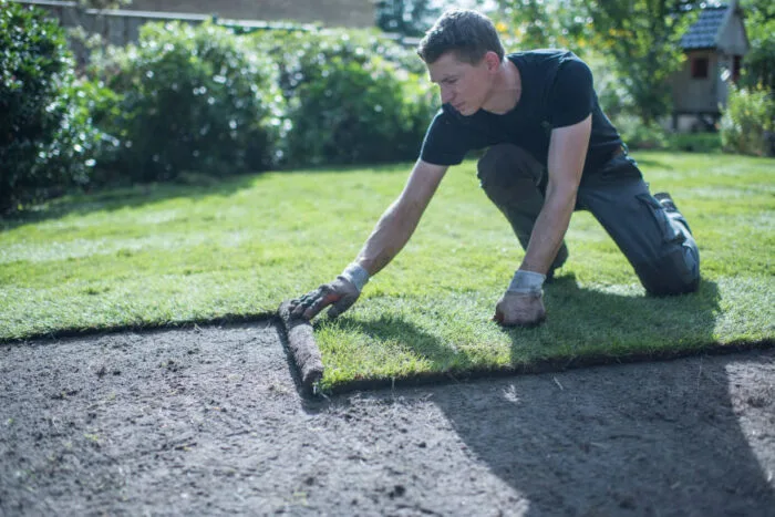 dikte grasmatten