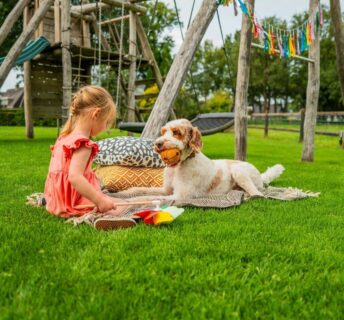 Kind speelt met hond op vers gelegd premium speelgazon