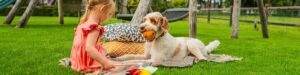 Enfant joue avec un chien sur une pelouse avec coussins colorés et nappe de pique-nique
