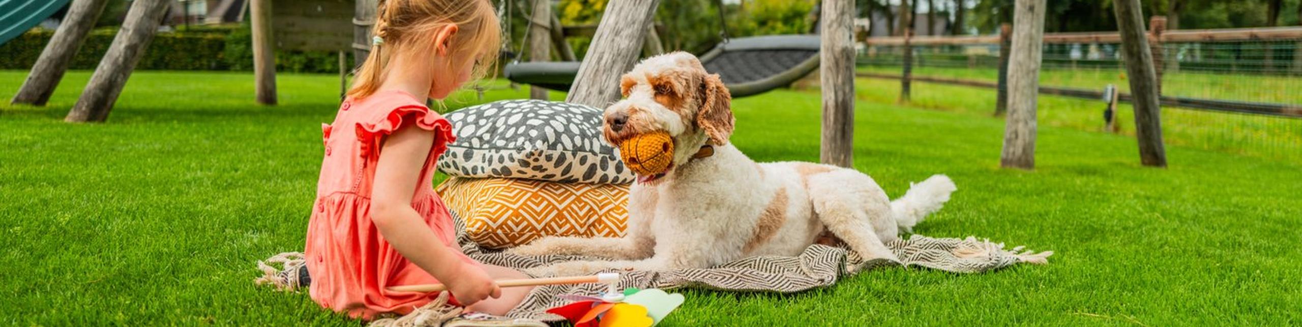 Kind speelt met hond op grasveld met kleurrijke kussens en picknickkleed