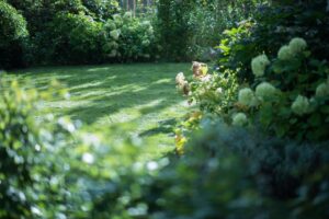 Schaduw over groene grasmatten in tuin