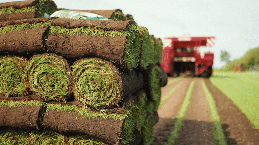 Vrachtwagen wordt geladen met grasmatten op grasveld
