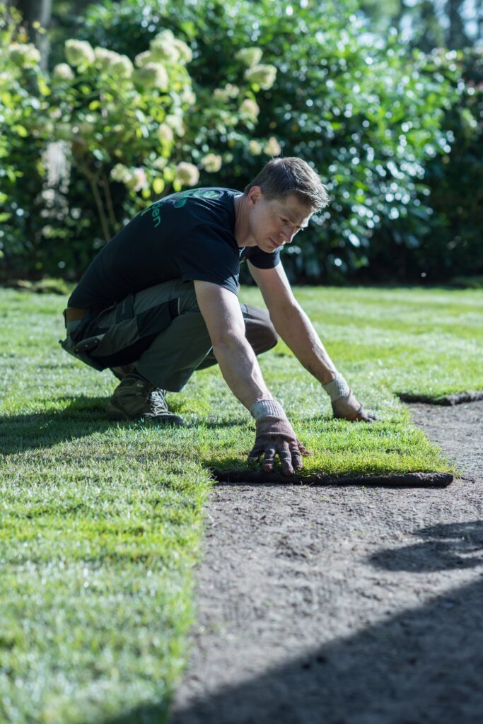 Man walt nieuw aangelegde grasmatten in tuin