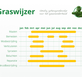 Graswijzer - jaarkalender met onderhoudsschema voor gazon: maaien, bemesten, mosbestrijding, verticuteren, sproeien, beluchten, reparatie en onkruidbestrijding per maand
