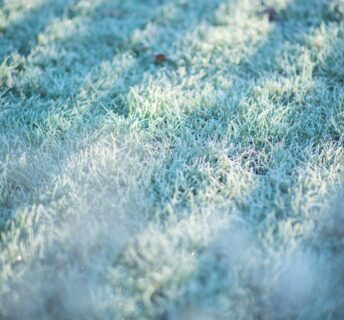 Gazon met rijp – grasmatten leggen in de winter