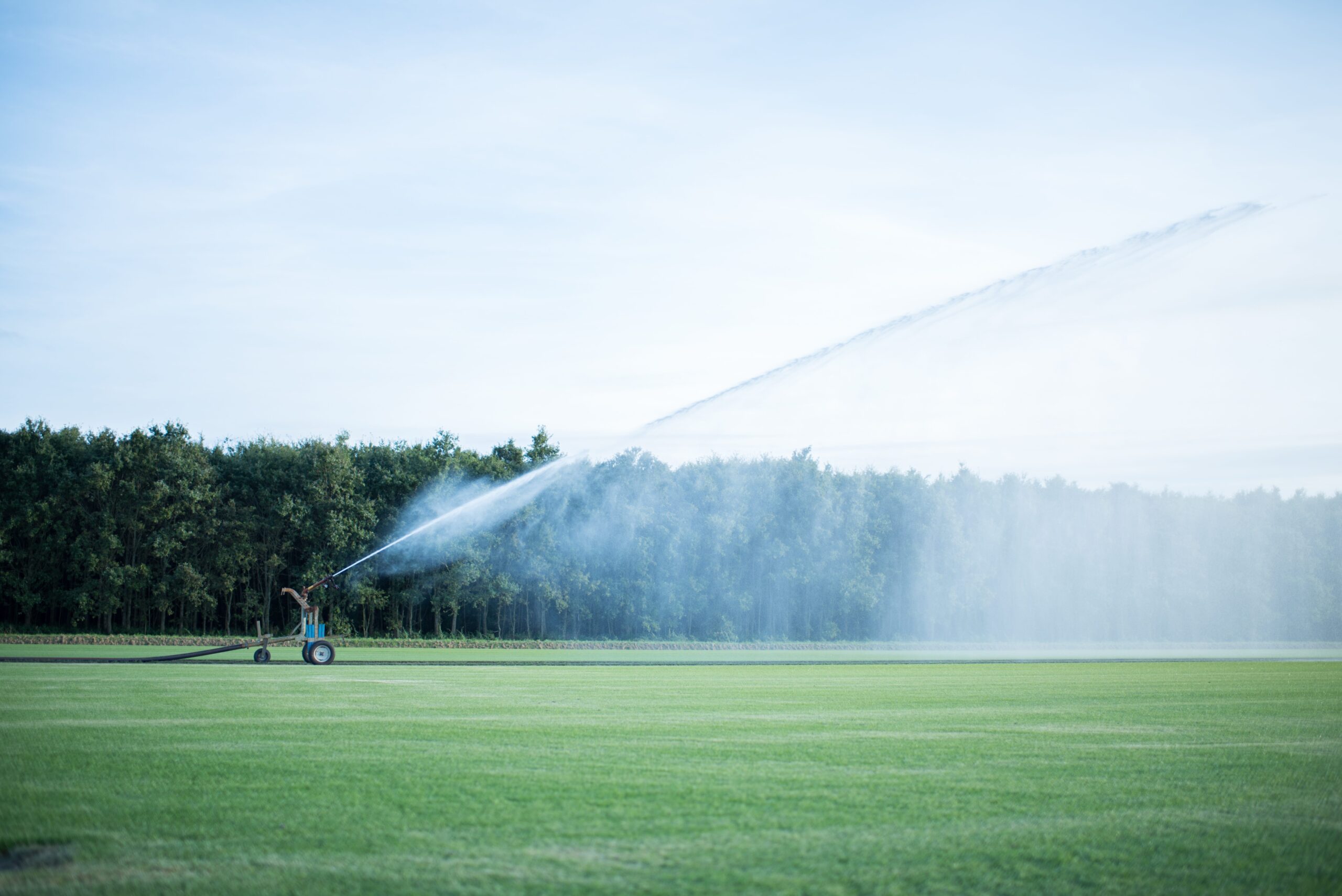 Beregeningshaspel sproeit water over een groot grasmattenveld