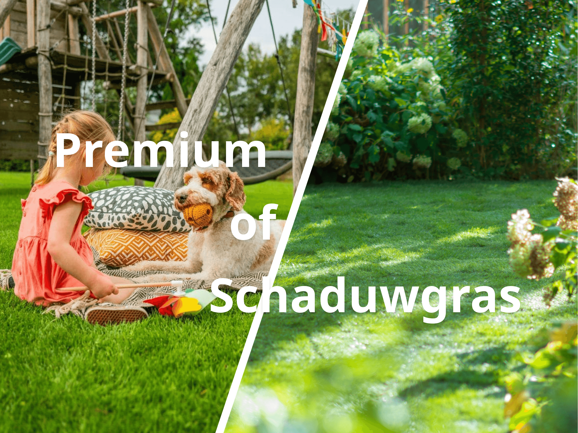 Vergelijking premium gazon met spelend meisje en hond versus schaduwgras in een beschaduwde tuin met bloeiende struiken