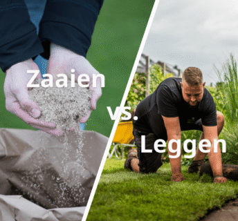 Vergelijking zaaien versus leggen van grasmatten: links gras zaaien vanuit een zak, rechts het leggen van grasmatten door een tuinier
