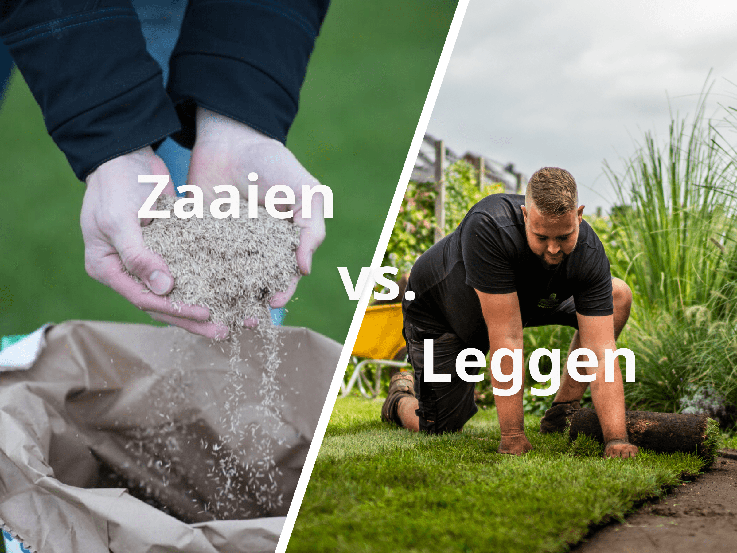 Vergelijking zaaien versus leggen van grasmatten