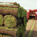 Verse opgerolde grasmatten klaar voor levering vanaf het veld
