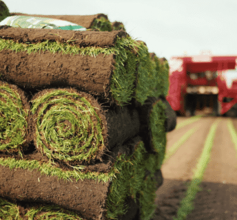 Verse opgerolde grasmatten klaar voor levering vanaf het veld
