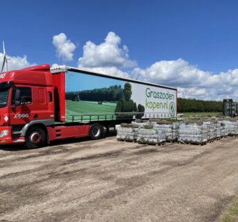 Pallets met grasmatten klaar voor distributie op grasveld