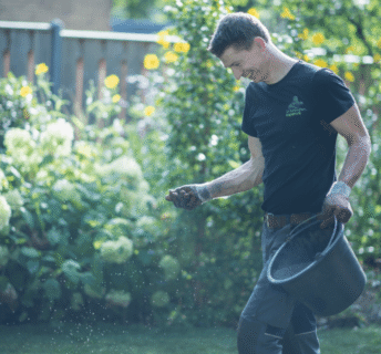 Hovenier strooit gazonmest over een gazon