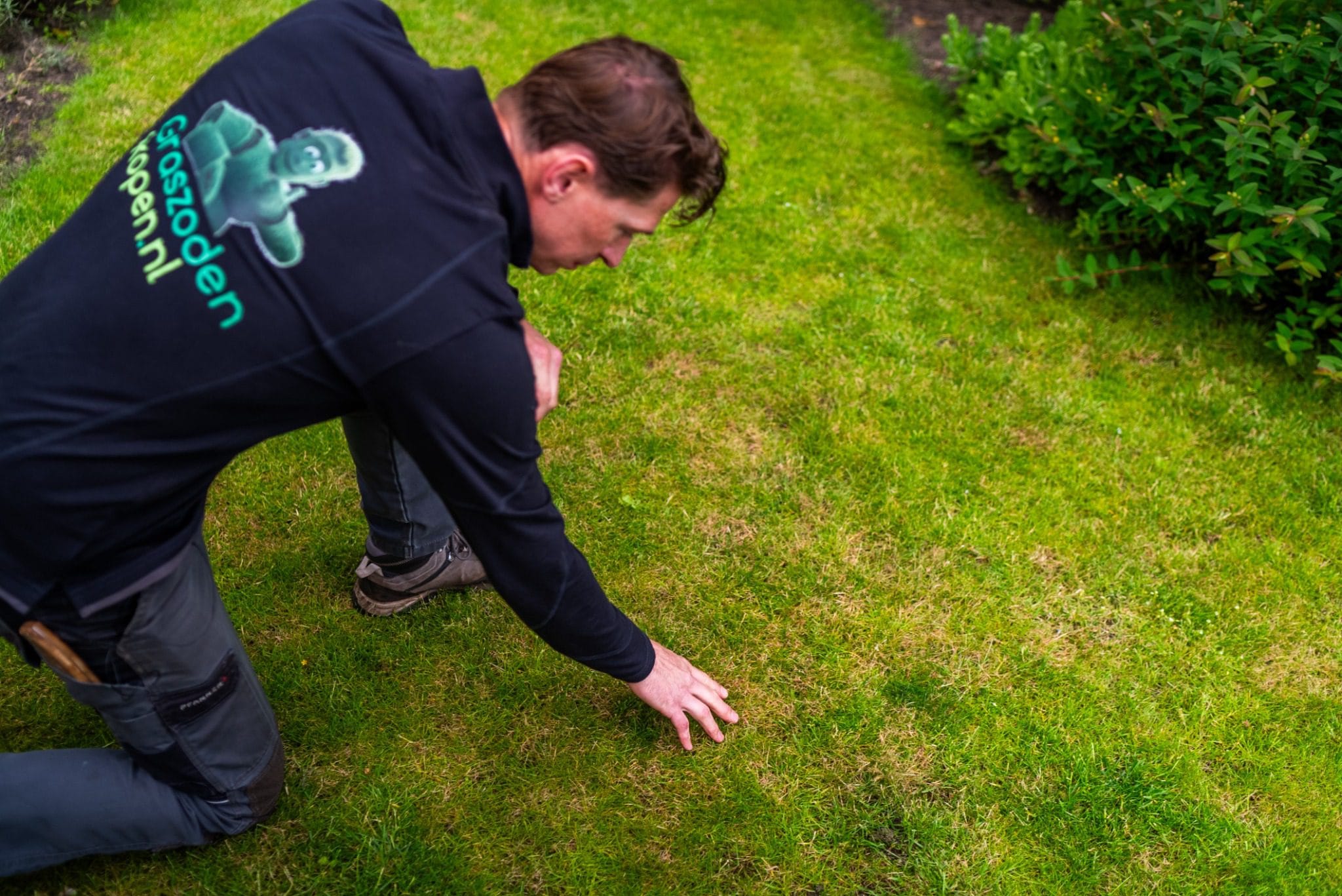 Graszodenkopen.be specialist controleert gazon op roodraad