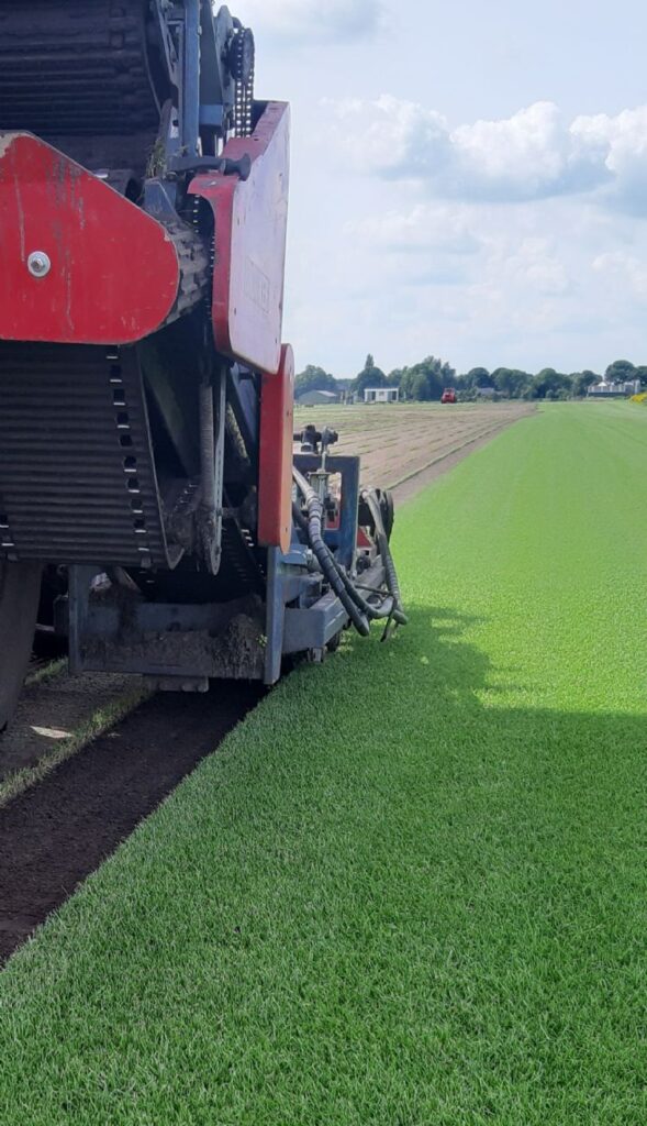 Grasmatten worden geoogst op een groot grasmattenveld voor levering aan klanten