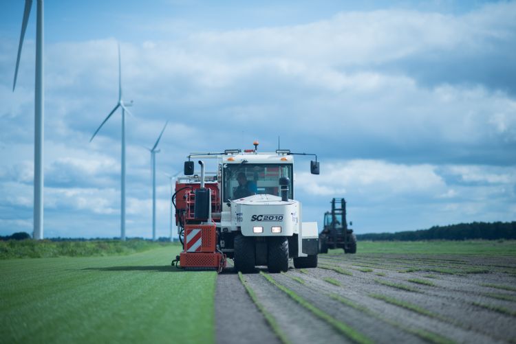 Machine die grasmatten oogst op een groot grasmattenveld