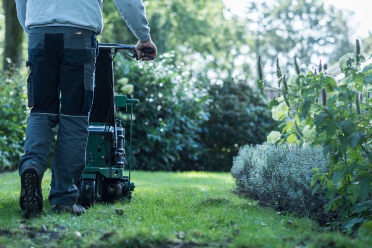 Hovenier maait een gazon in een tuin