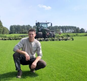 Grote grasmattenvelden op een professionele grasmattenkwekerij