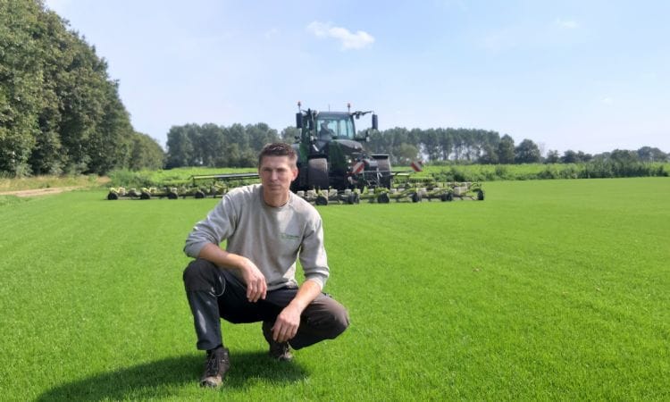 Grote grasmattenvelden op een professionele grasmattenkwekerij