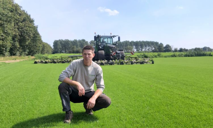 Grote grasmattenvelden op een professionele grasmattenkwekerij