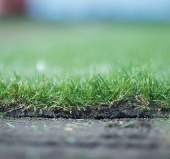 Mooie detailfoto van rand van grasmatten