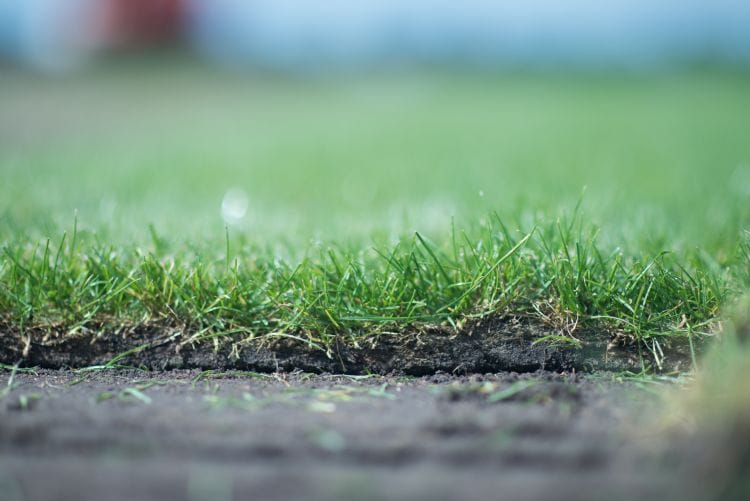 Mooie detailfoto van rand van grasmatten