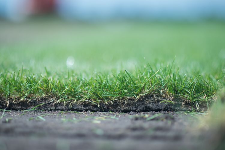 Mooie detailfoto van rand van grasmatten