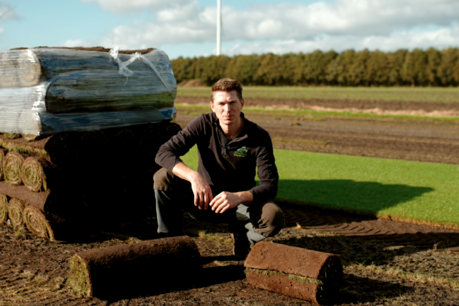 Pallets met vers geoogste grasmatten op een grasmattenveld
