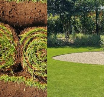 Rollen grasmatten naast een strak aangelegd gazon in een tuin