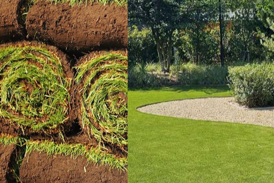 Rollen grasmatten naast een strak aangelegd gazon in een tuin