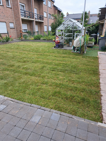 Vers gelegde graszoden in een tuin in Lokeren – klantfoto van Jozef
